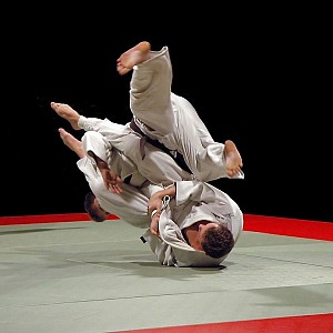Jiu Jitsu acrobatico 2